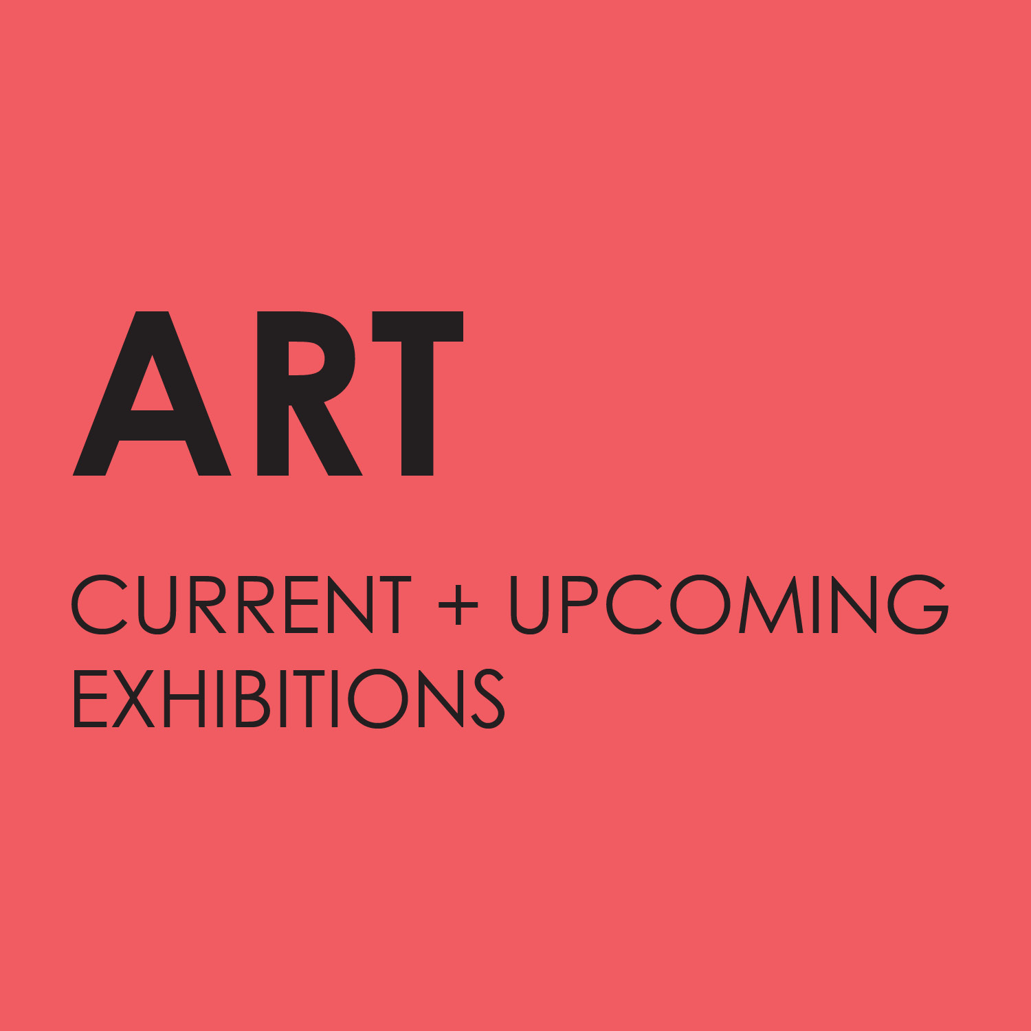 Things To Do The Studios of Key West